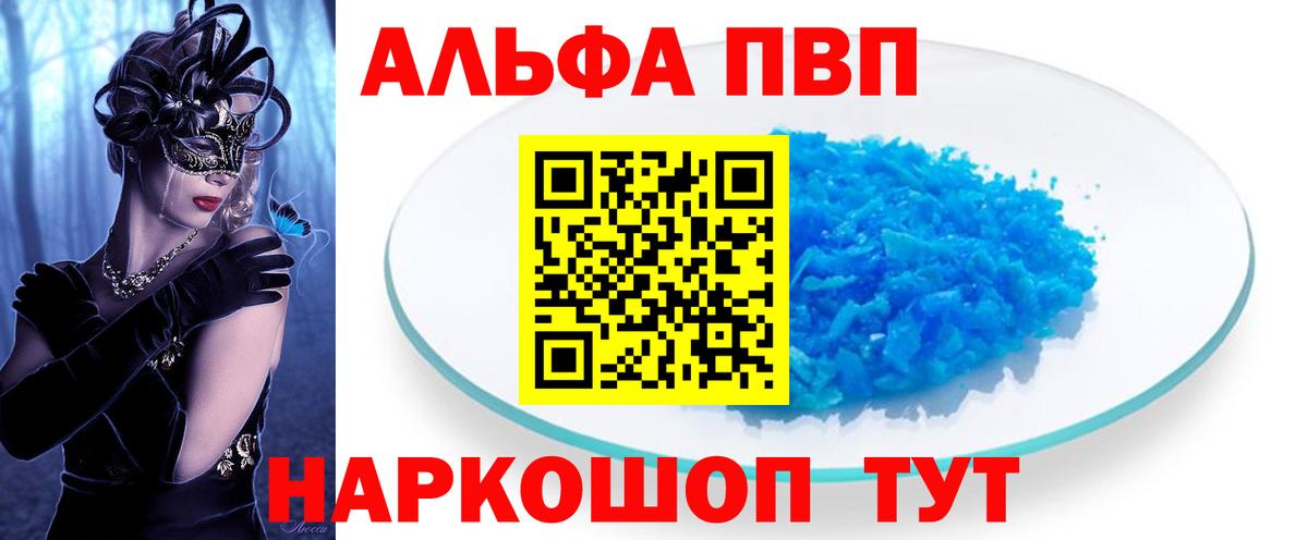 A PVP СК КРИС Старая Русса