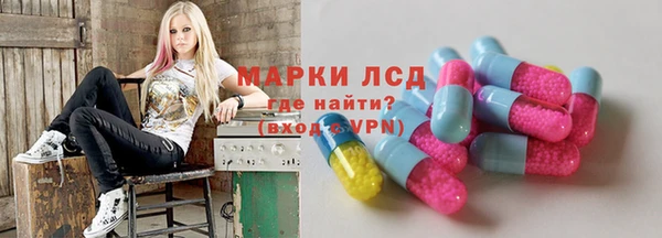 стафф Осинники