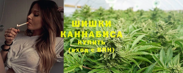 стафф Вуктыл