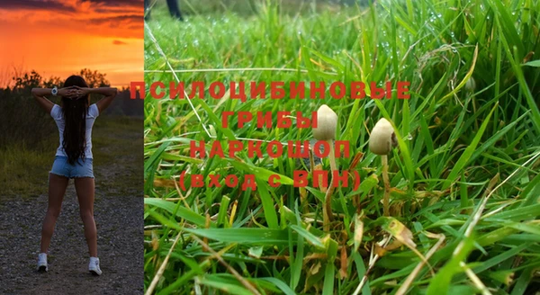 стафф Вуктыл