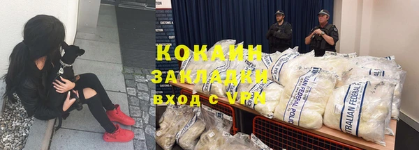 стафф Осинники