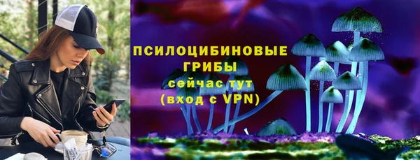 стафф Вуктыл