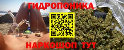 Альфа ПВП Будённовск