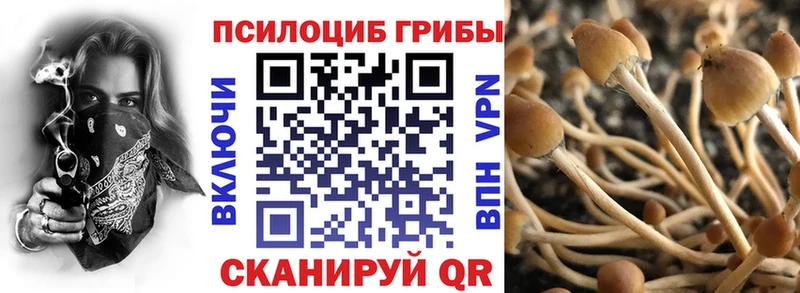 Галлюциногенные грибы ЛСД  наркотики  Старая Русса 